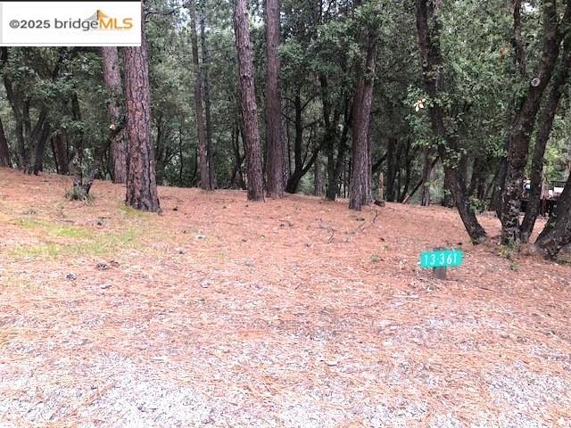 Detail Gallery Image 1 of 7 For , Groveland,  CA 95321 - – Beds | – Baths