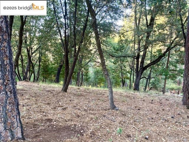 Detail Gallery Image 2 of 7 For , Groveland,  CA 95321 - – Beds | – Baths