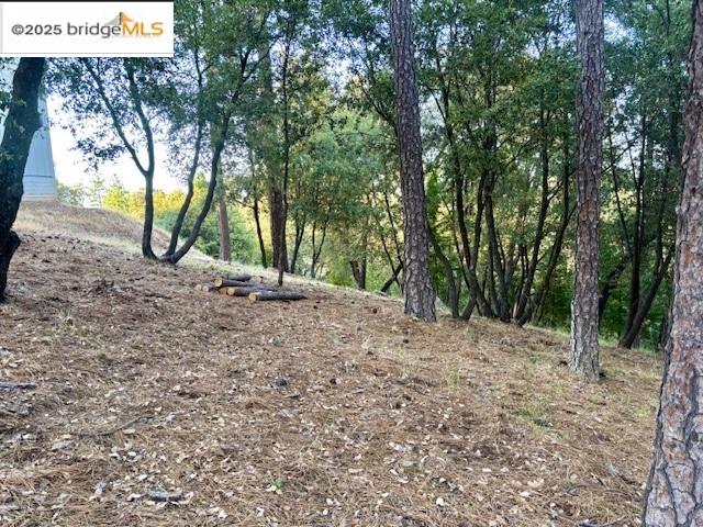 Detail Gallery Image 3 of 7 For , Groveland,  CA 95321 - – Beds | – Baths