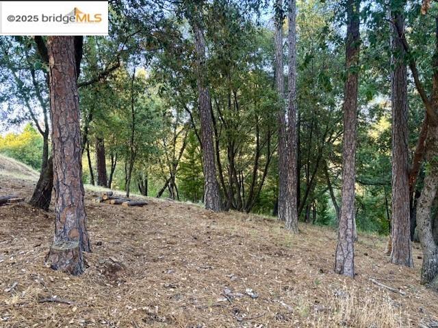 Detail Gallery Image 4 of 7 For , Groveland,  CA 95321 - – Beds | – Baths