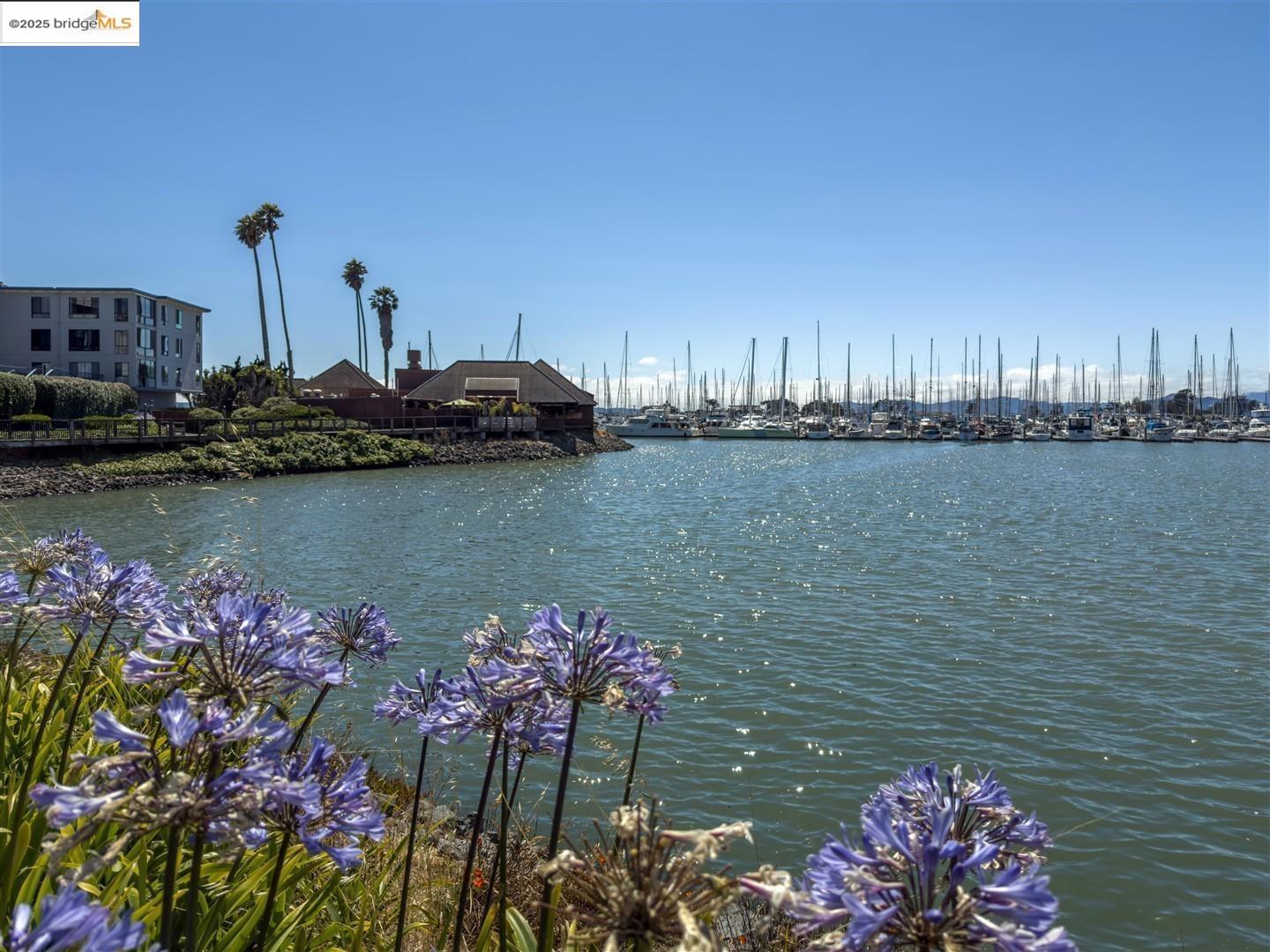 Detail Gallery Image 38 of 57 For 7 Commodore Dr #A260,  Emeryville,  CA 94608 - 0 Beds | 1 Baths