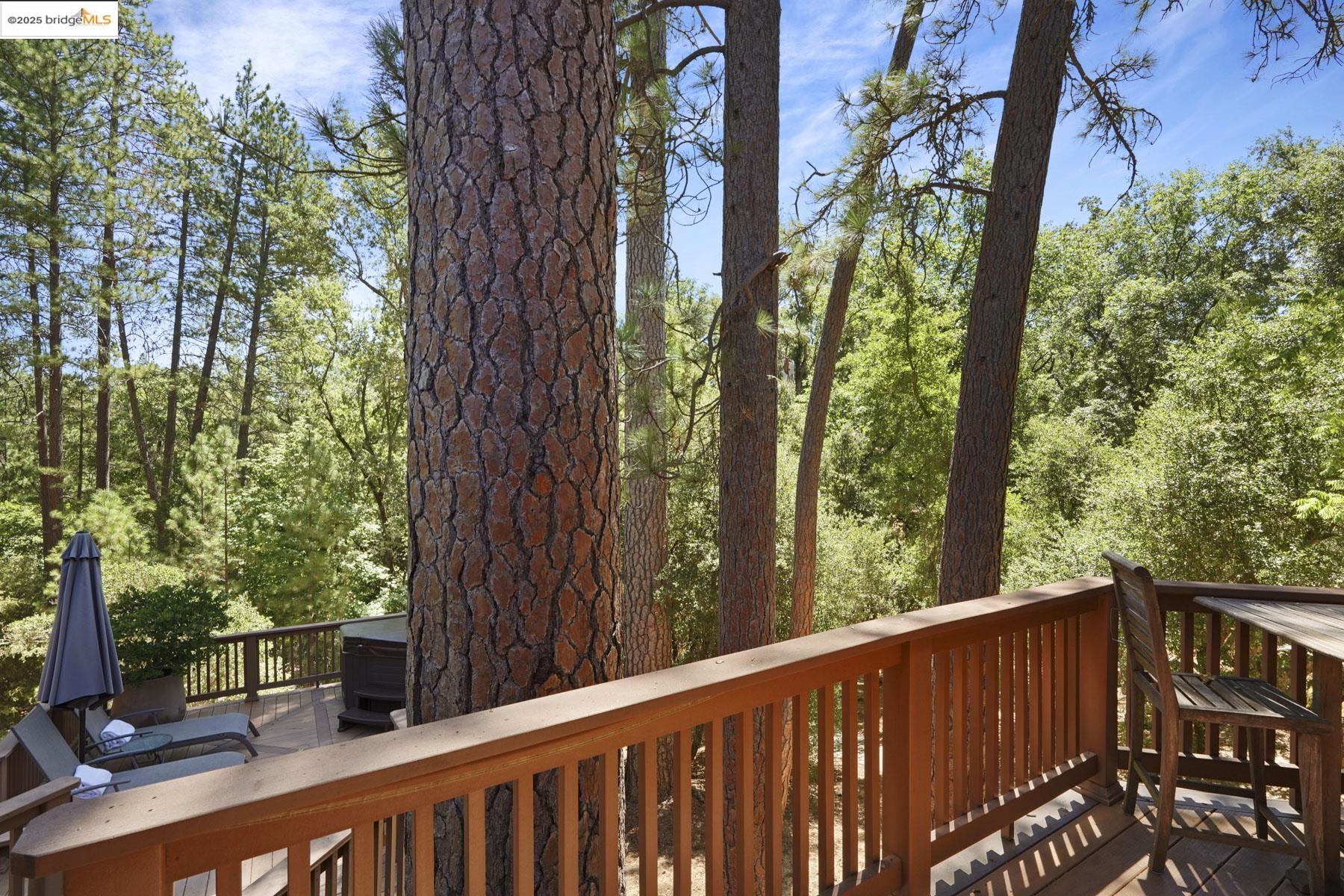 Detail Gallery Image 37 of 59 For 22025 Lyons Bald Mt Rd, Sonora,  CA 95370 - 3 Beds | 2/1 Baths
