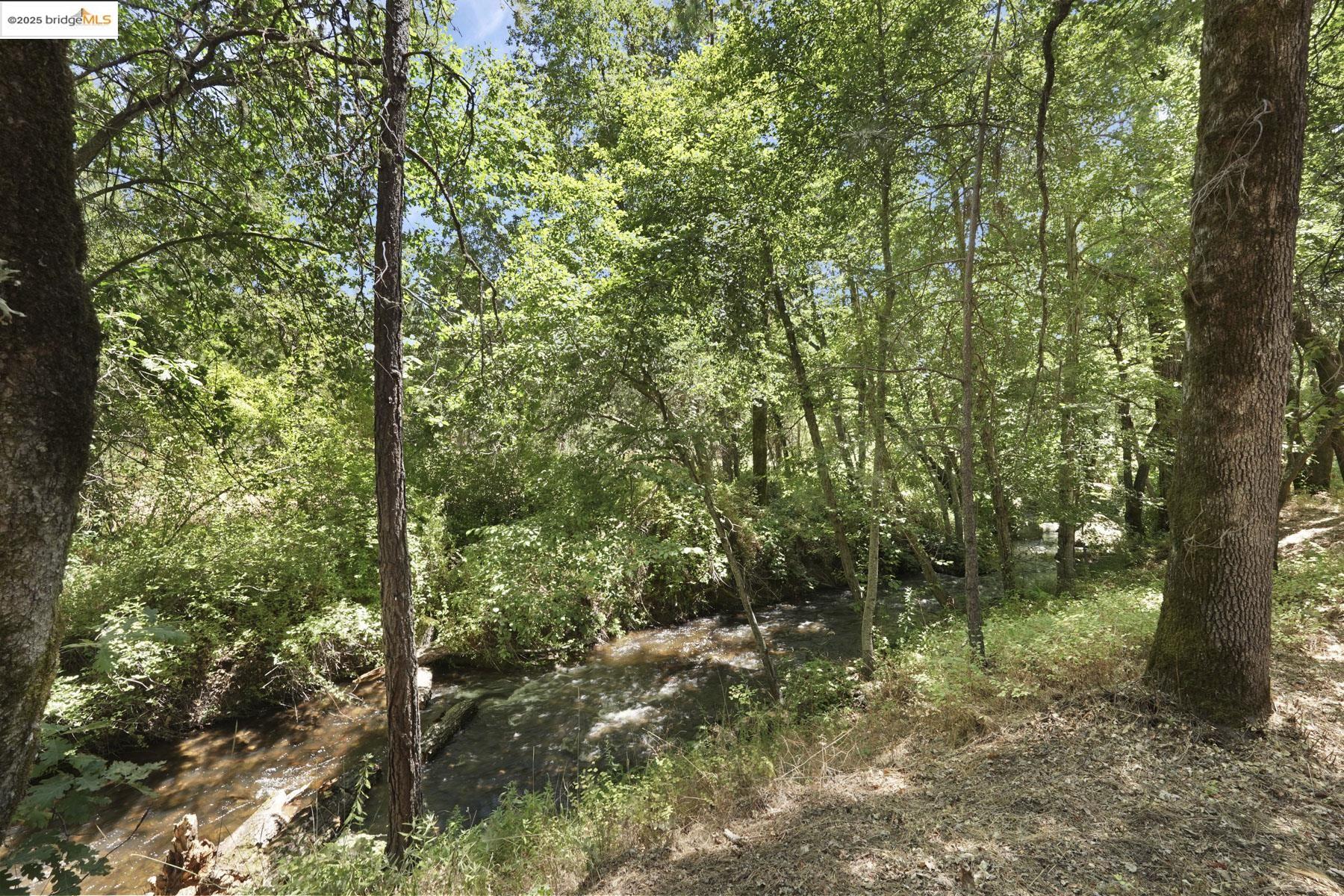 Detail Gallery Image 44 of 59 For 22025 Lyons Bald Mt Rd, Sonora,  CA 95370 - 3 Beds | 2/1 Baths