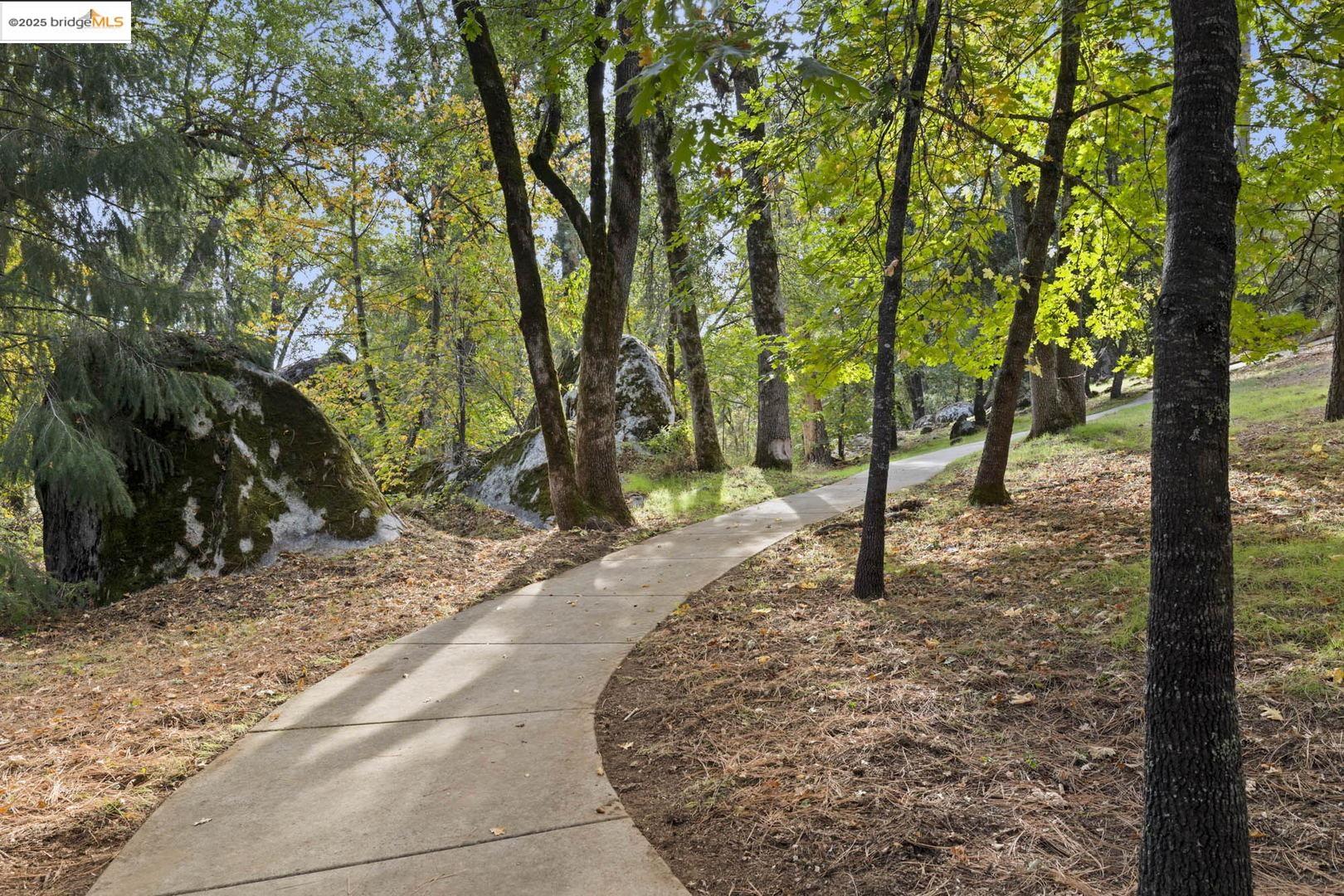 Detail Gallery Image 50 of 59 For 22025 Lyons Bald Mt Rd, Sonora,  CA 95370 - 3 Beds | 2/1 Baths