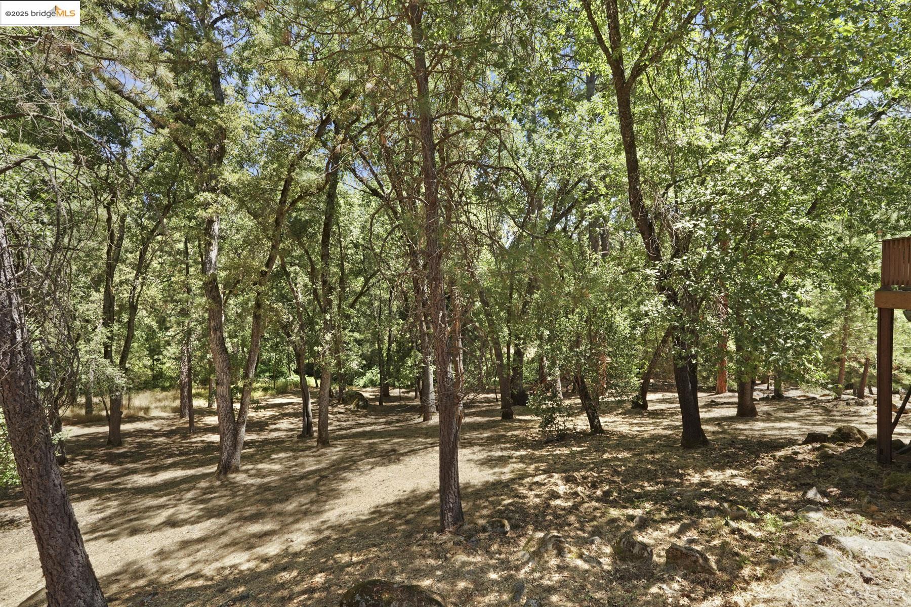 Detail Gallery Image 53 of 59 For 22025 Lyons Bald Mt Rd, Sonora,  CA 95370 - 3 Beds | 2/1 Baths