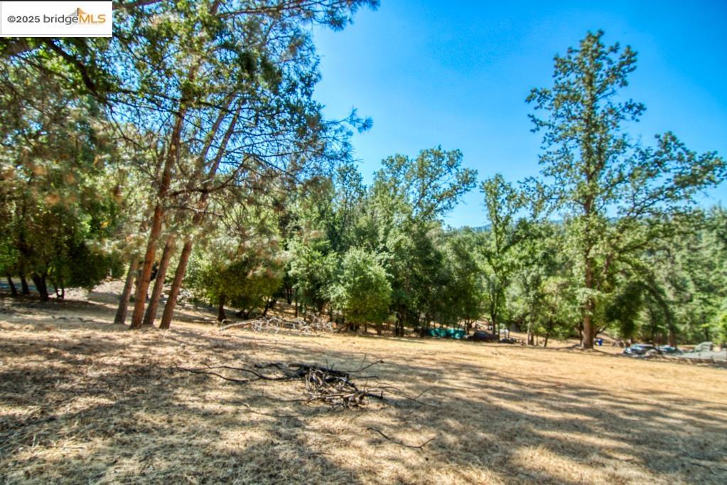Detail Gallery Image 1 of 5 For 12715 Eagle Court, Groveland,  CA 95321-9529 - – Beds | – Baths