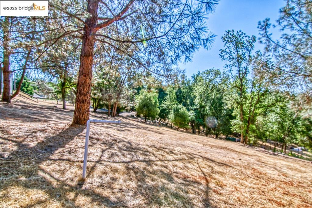 Detail Gallery Image 3 of 5 For 12715 Eagle Court, Groveland,  CA 95321-9529 - – Beds | – Baths