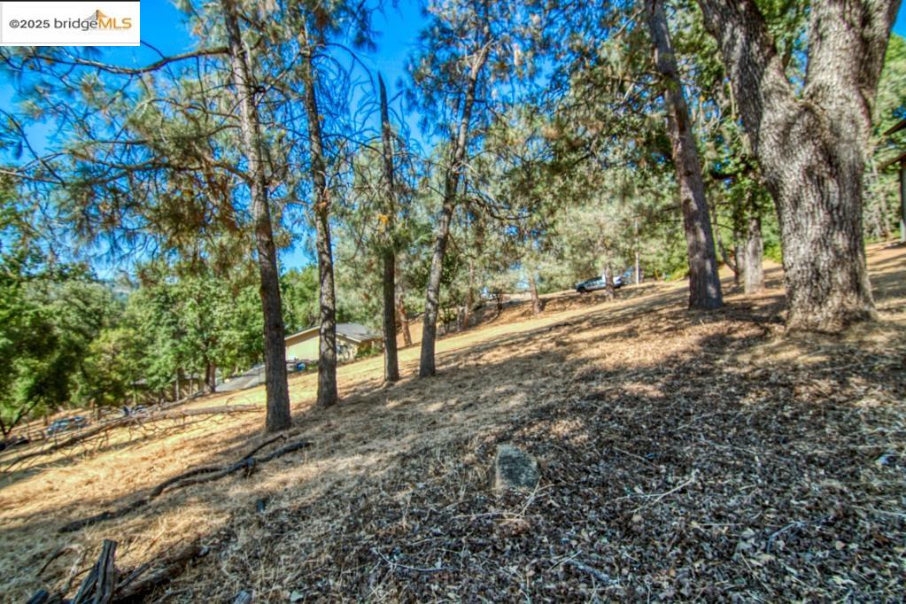 Detail Gallery Image 5 of 5 For 12715 Eagle Court, Groveland,  CA 95321-9529 - – Beds | – Baths