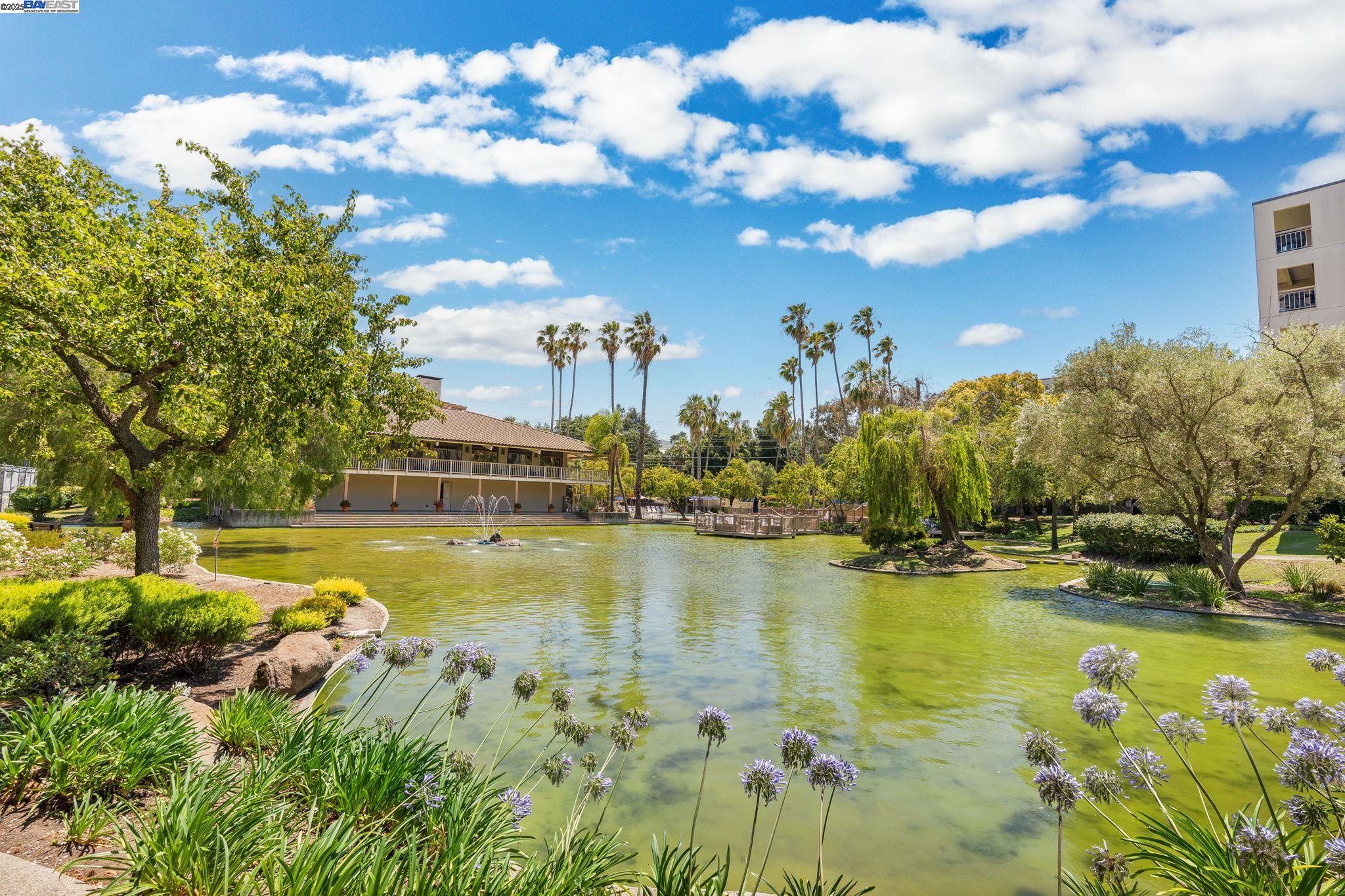 Detail Gallery Image 12 of 18 For 300 N Civic Dr #403,  Walnut Creek,  CA 94596 - 1 Beds | 1 Baths