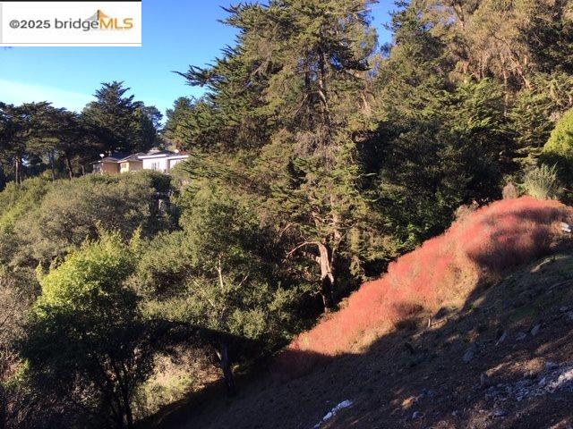 Detail Gallery Image 6 of 14 For 6059 Girvin Dr, Oakland,  CA 94611 - – Beds | – Baths