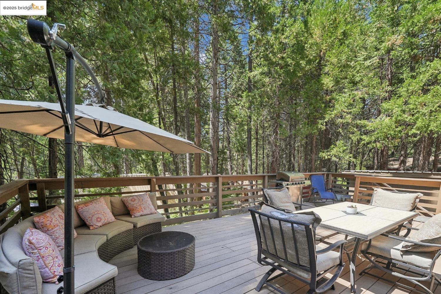 Detail Gallery Image 2 of 16 For 1254 Ponderosa Way, Arnold,  CA 95223 - 3 Beds | 1/1 Baths