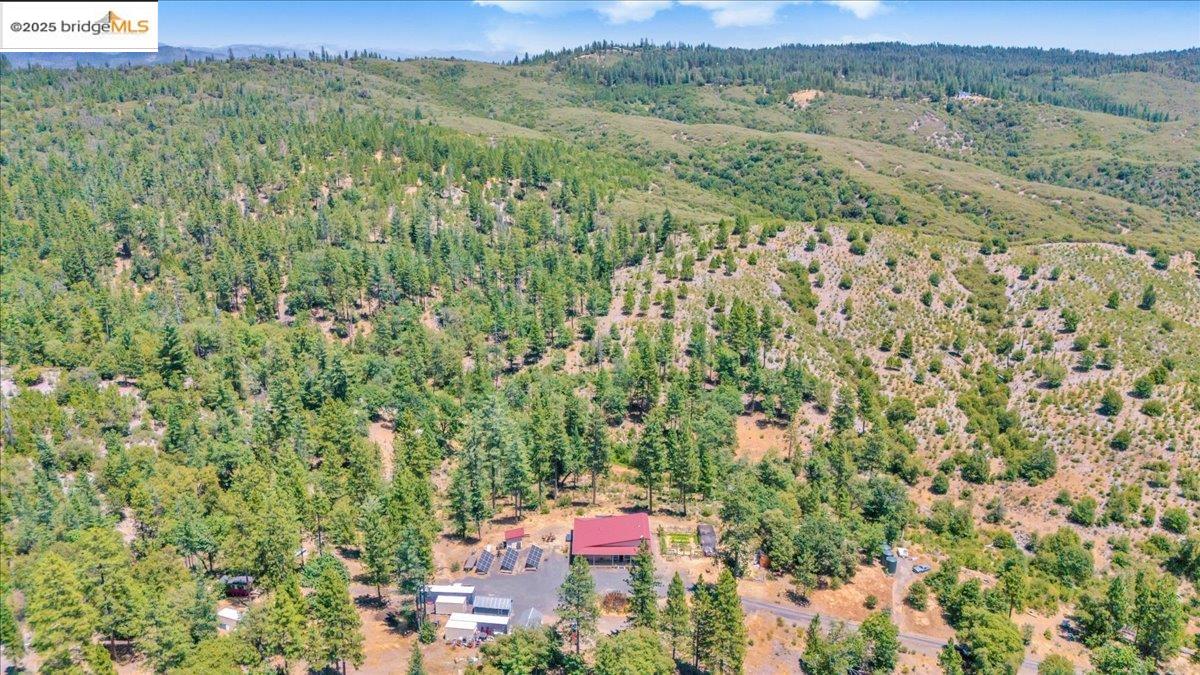Detail Gallery Image 43 of 47 For 9935 Jackass Creek Rd, Groveland,  CA 95321 - 1 Beds | 2 Baths