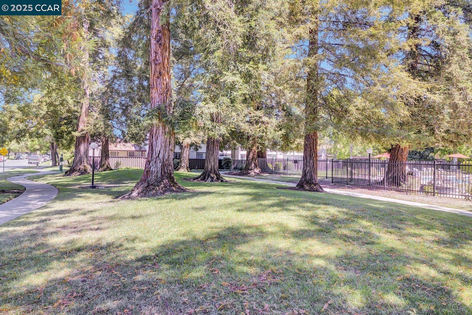Photo #45: 41105542 Listing: Photo #45