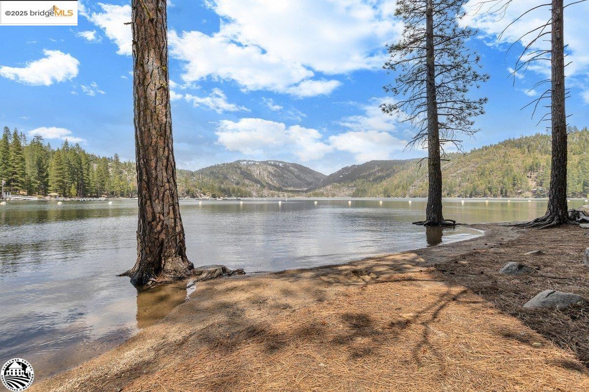 Detail Gallery Image 43 of 45 For 264 Sugarpine, Pinecrest,  CA 95364 - 2 Beds | 1 Baths