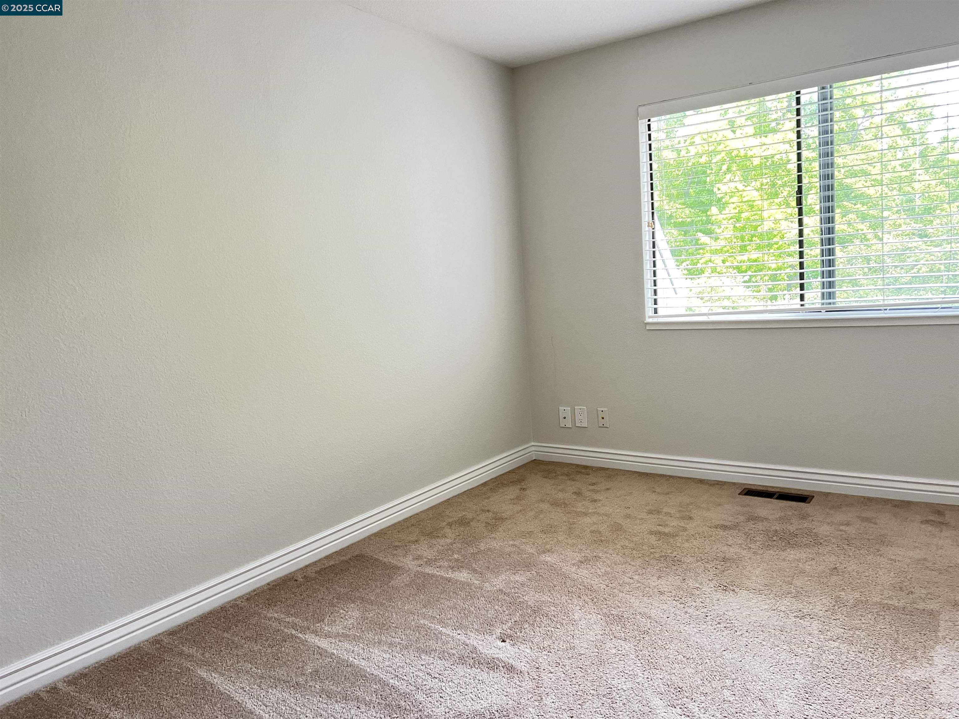 Photo #20: 41105565 Listing: Photo #20