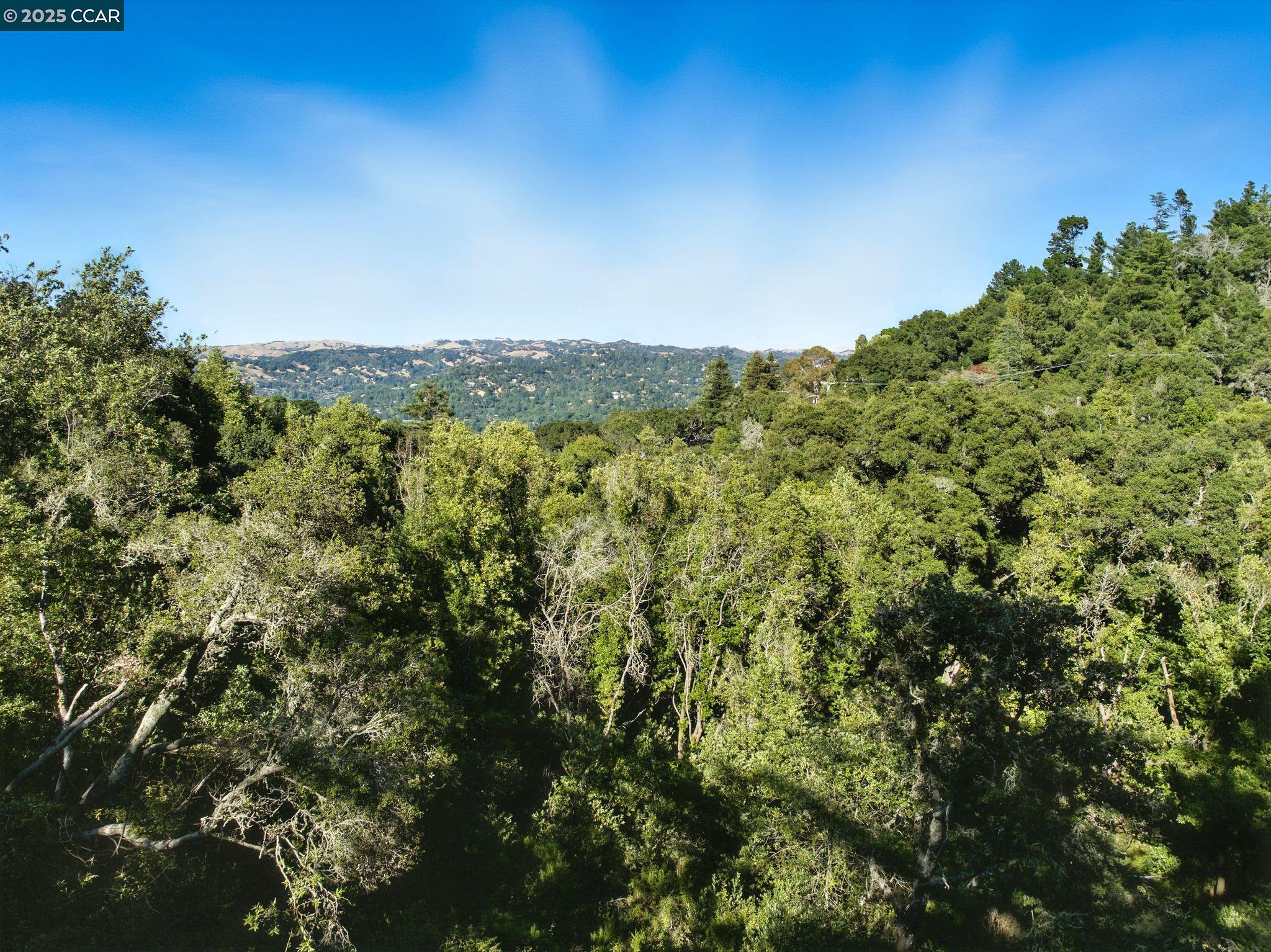 Detail Gallery Image 5 of 11 For Camino Del Monte, Orinda,  CA 94563 - – Beds | – Baths