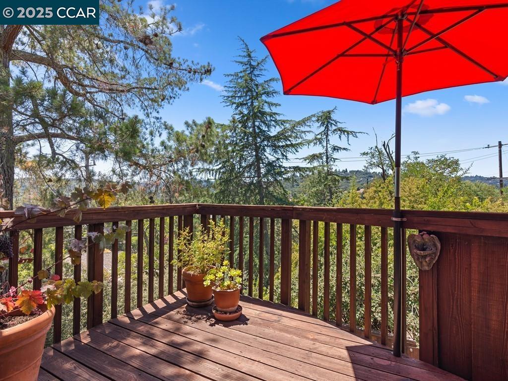 1138 Orchard Rd, Lafayette, California 94549, 3 Bedrooms Bedrooms, 7 Rooms Rooms,3 BathroomsBathrooms,Residential,For Sale,1138 Orchard Rd,41105611