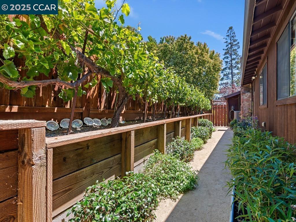 1138 Orchard Rd, Lafayette, California 94549, 3 Bedrooms Bedrooms, 7 Rooms Rooms,3 BathroomsBathrooms,Residential,For Sale,1138 Orchard Rd,41105611