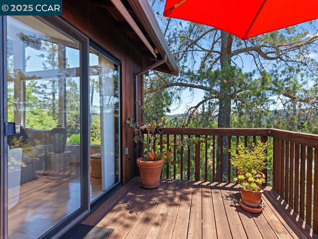 1138 Orchard Rd, Lafayette, California 94549, 3 Bedrooms Bedrooms, 7 Rooms Rooms,3 BathroomsBathrooms,Residential,For Sale,1138 Orchard Rd,41105611