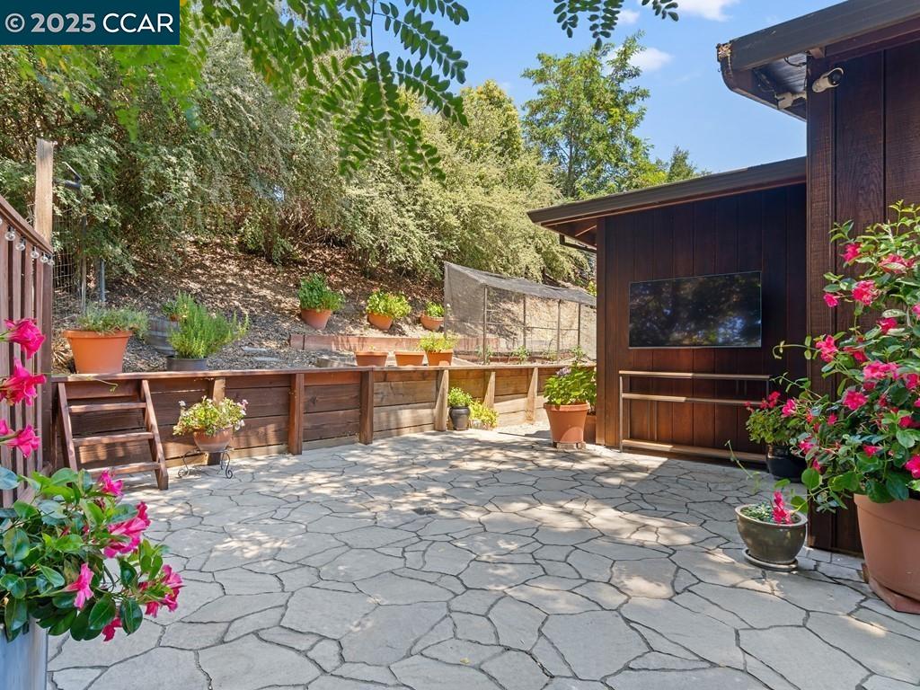 1138 Orchard Rd, Lafayette, California 94549, 3 Bedrooms Bedrooms, 7 Rooms Rooms,3 BathroomsBathrooms,Residential,For Sale,1138 Orchard Rd,41105611