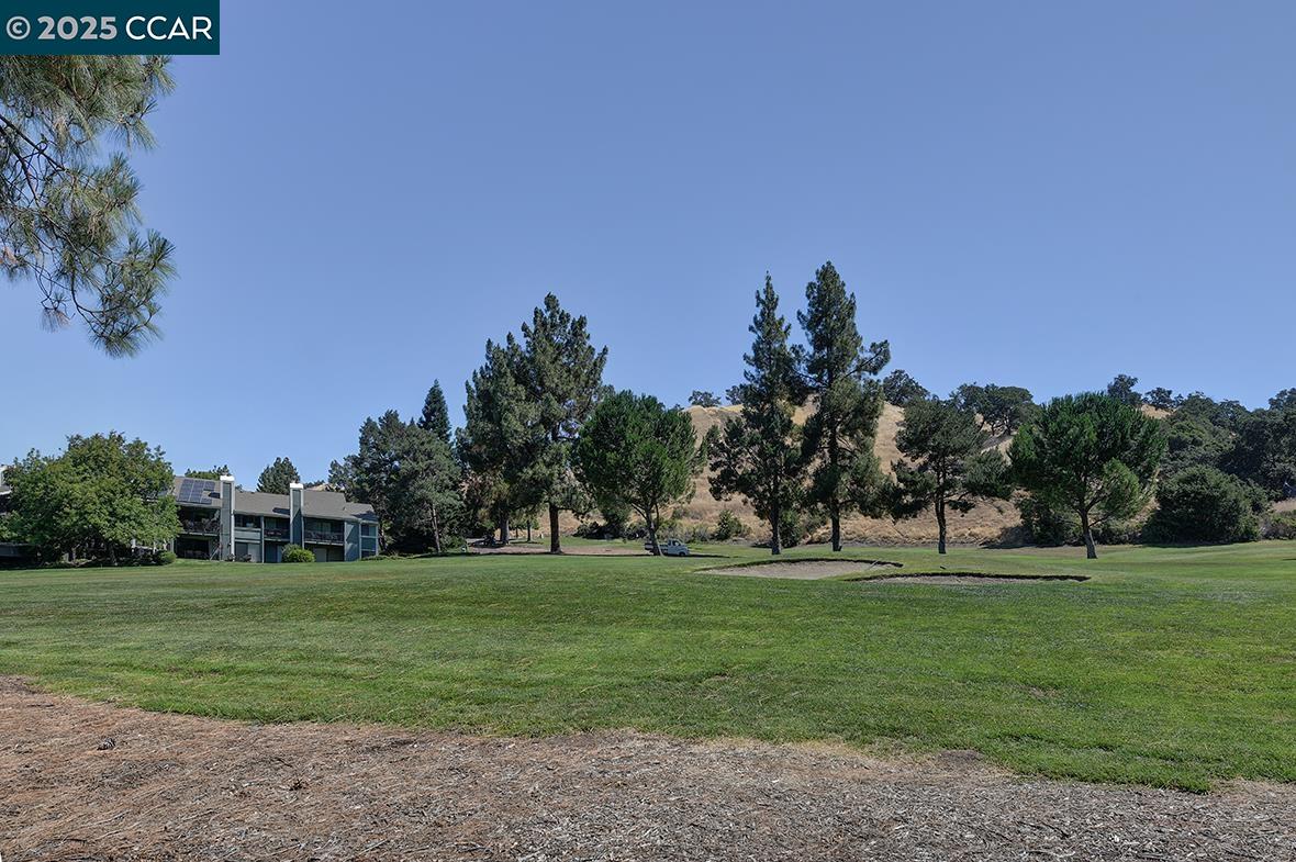 Photo #48: 41105613 Listing: Photo #48