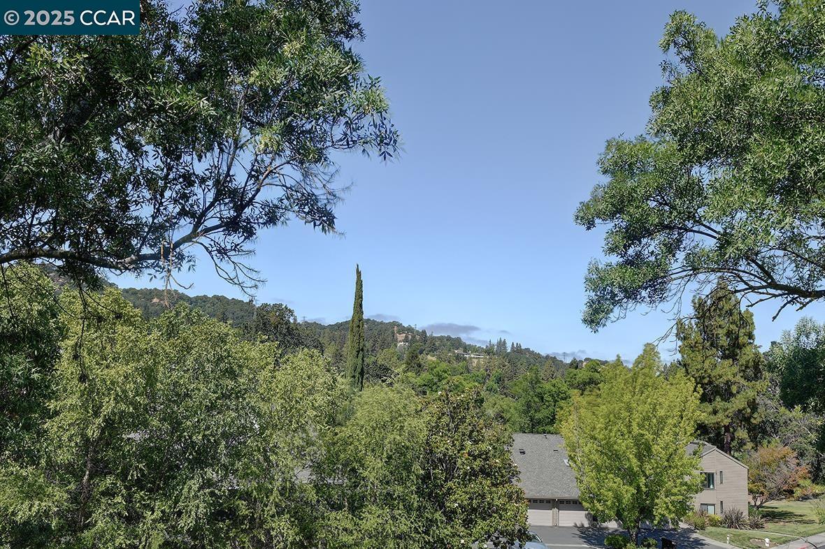 Photo #9: 41105613 Listing: Photo #9