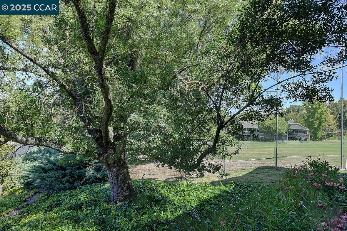 Photo #10: 41105613 Listing: Photo #10