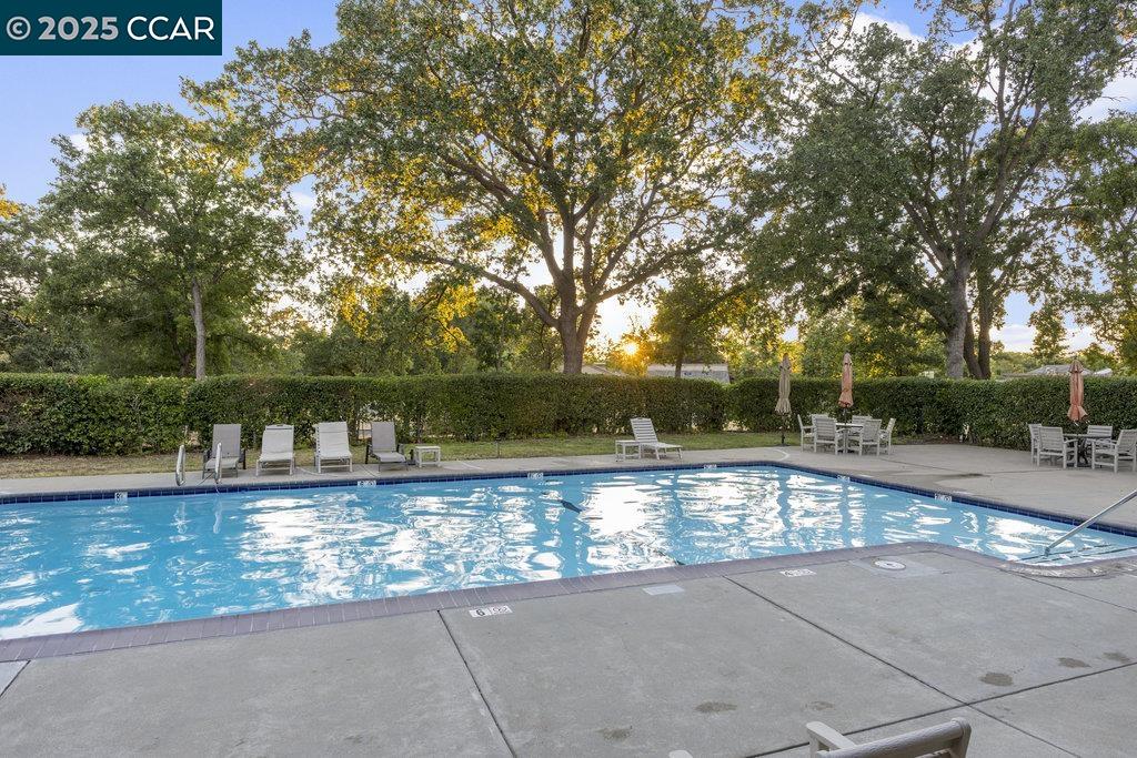 Photo #57: 41105620 Listing: Photo #57