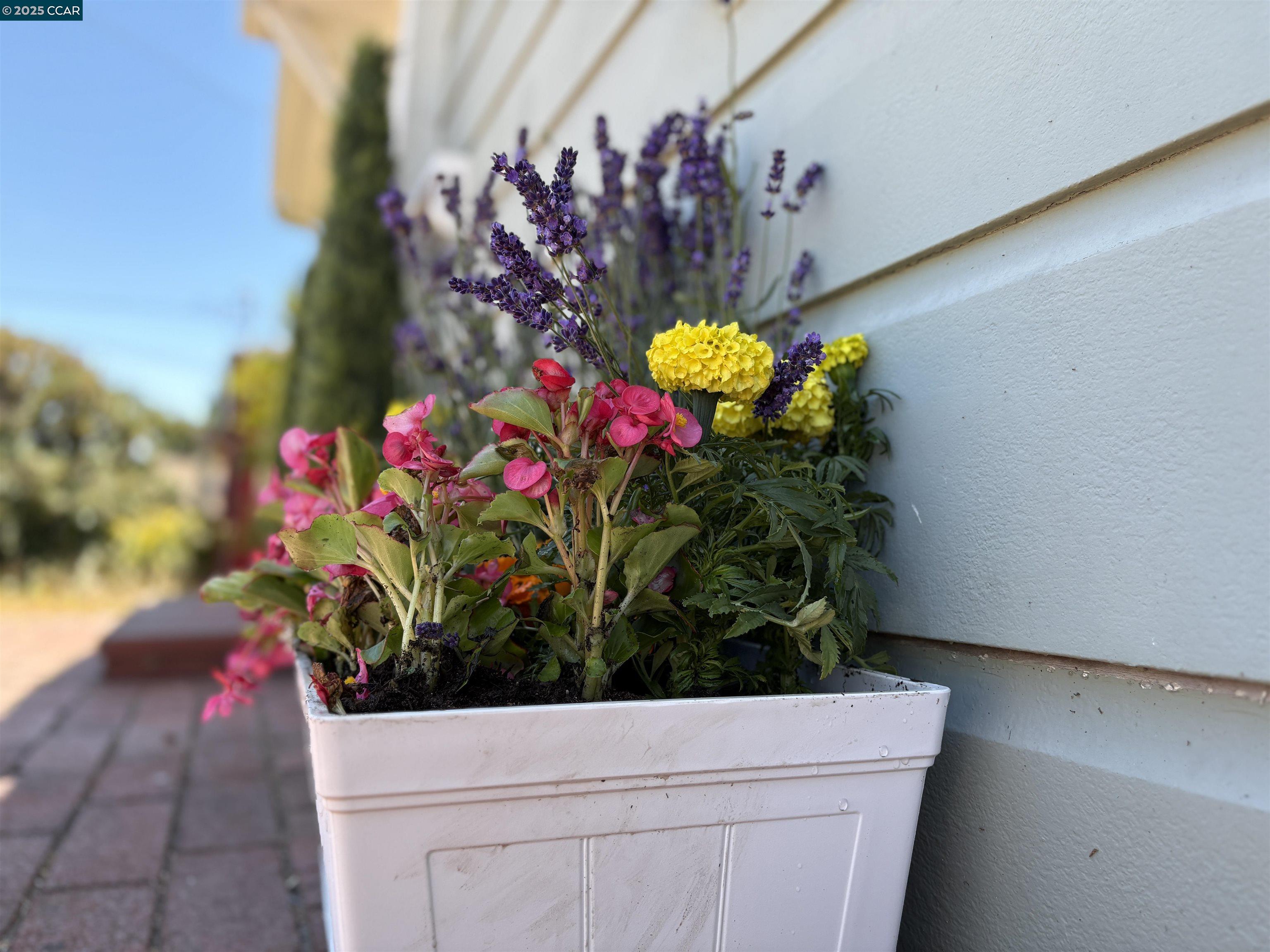 Detail Gallery Image 4 of 27 For 611 Amador St, Richmond,  CA 94805 - 5 Beds | 2 Baths