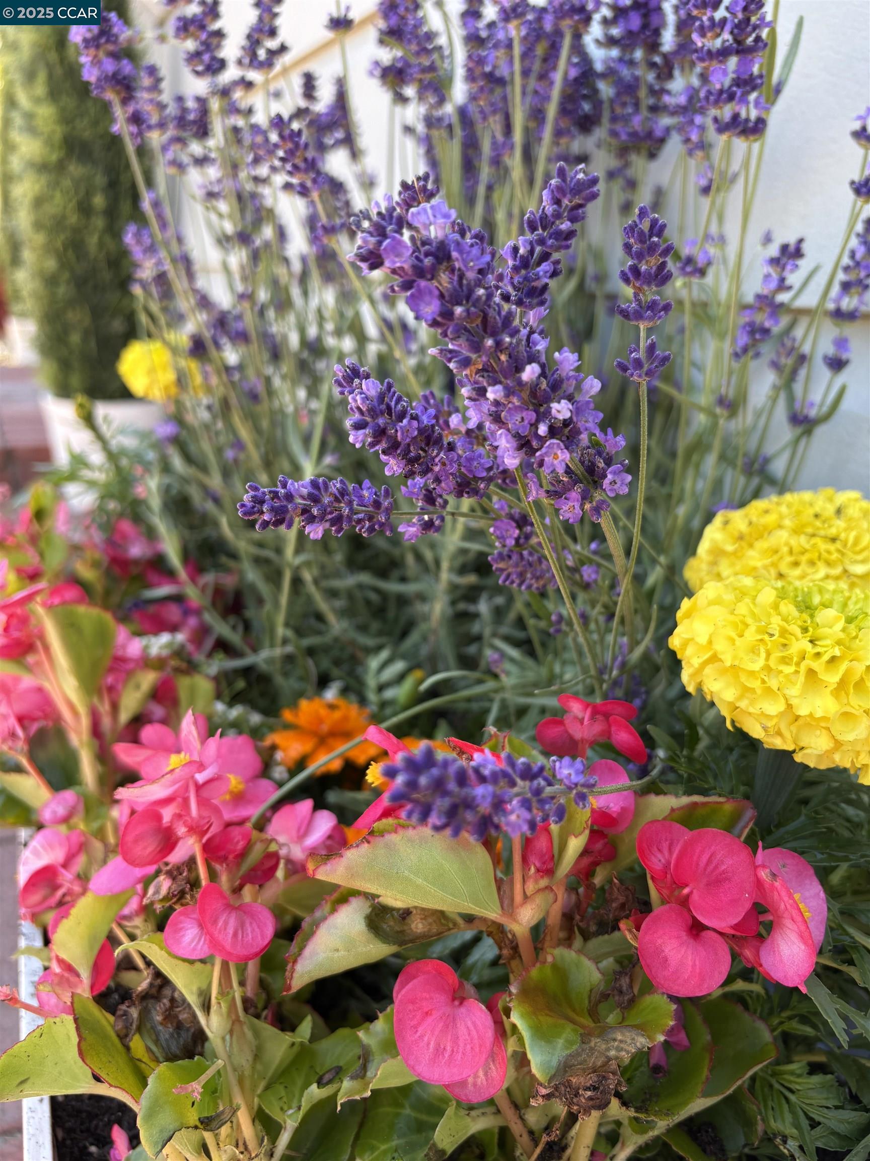 Detail Gallery Image 27 of 27 For 611 Amador St, Richmond,  CA 94805 - 5 Beds | 2 Baths
