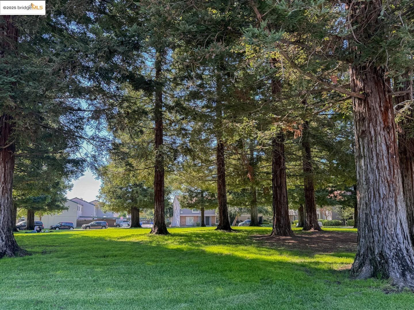 Photo #51: 41105667 Listing: Photo #51