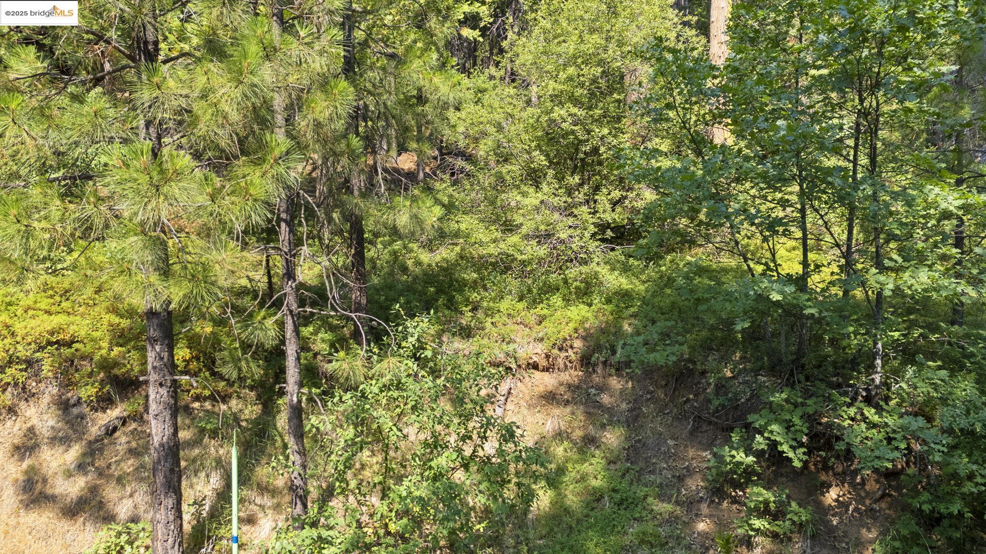 25352 Rebekah Road, Mi Wuk Village, California 95346, ,Land,For Sale,25352 Rebekah Road,41105730