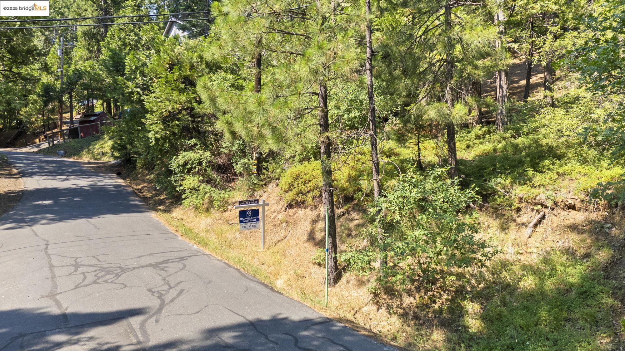 25352 Rebekah Road, Mi Wuk Village, California 95346, ,Land,For Sale,25352 Rebekah Road,41105730