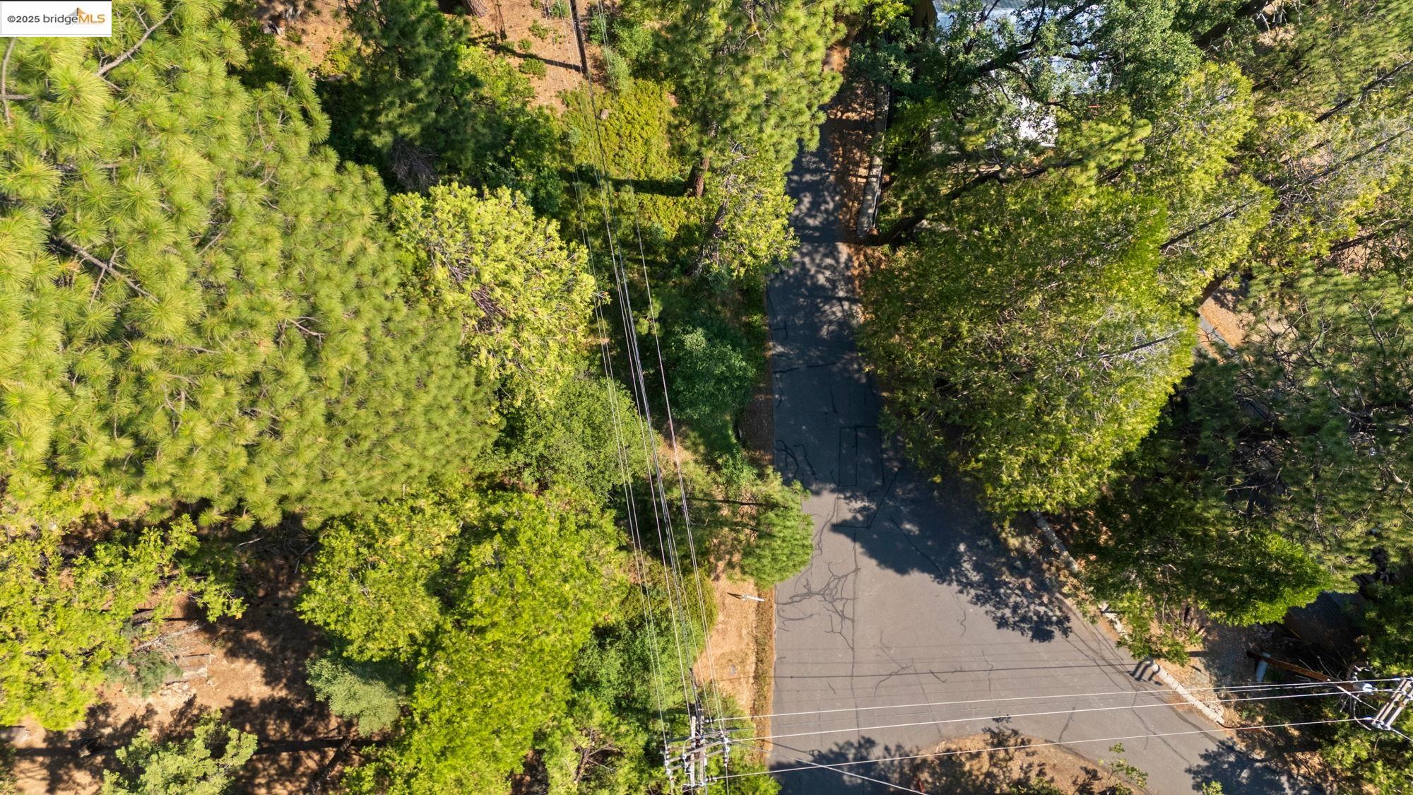 25352 Rebekah Road, Mi Wuk Village, California 95346, ,Land,For Sale,25352 Rebekah Road,41105730