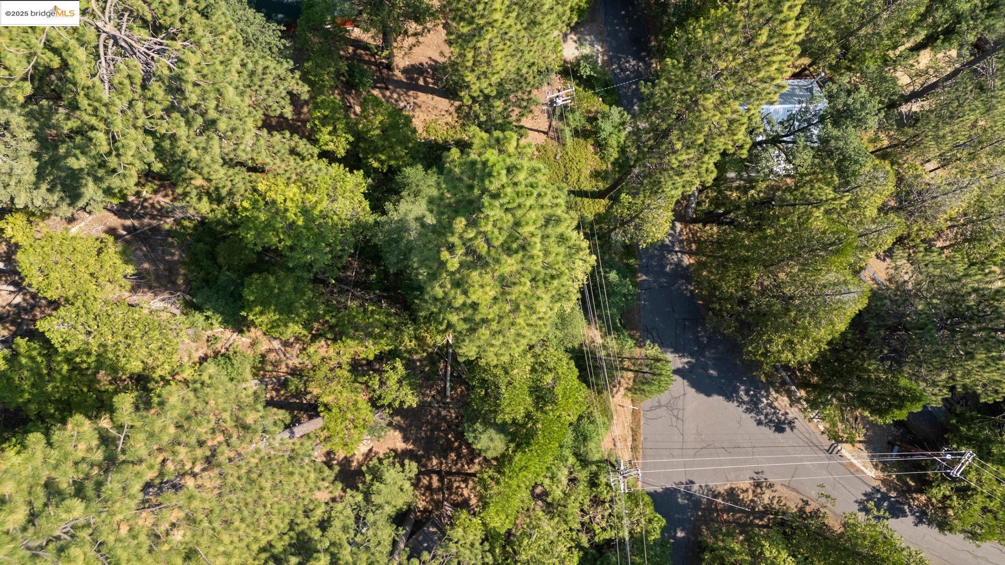 25352 Rebekah Road, Mi Wuk Village, California 95346, ,Land,For Sale,25352 Rebekah Road,41105730
