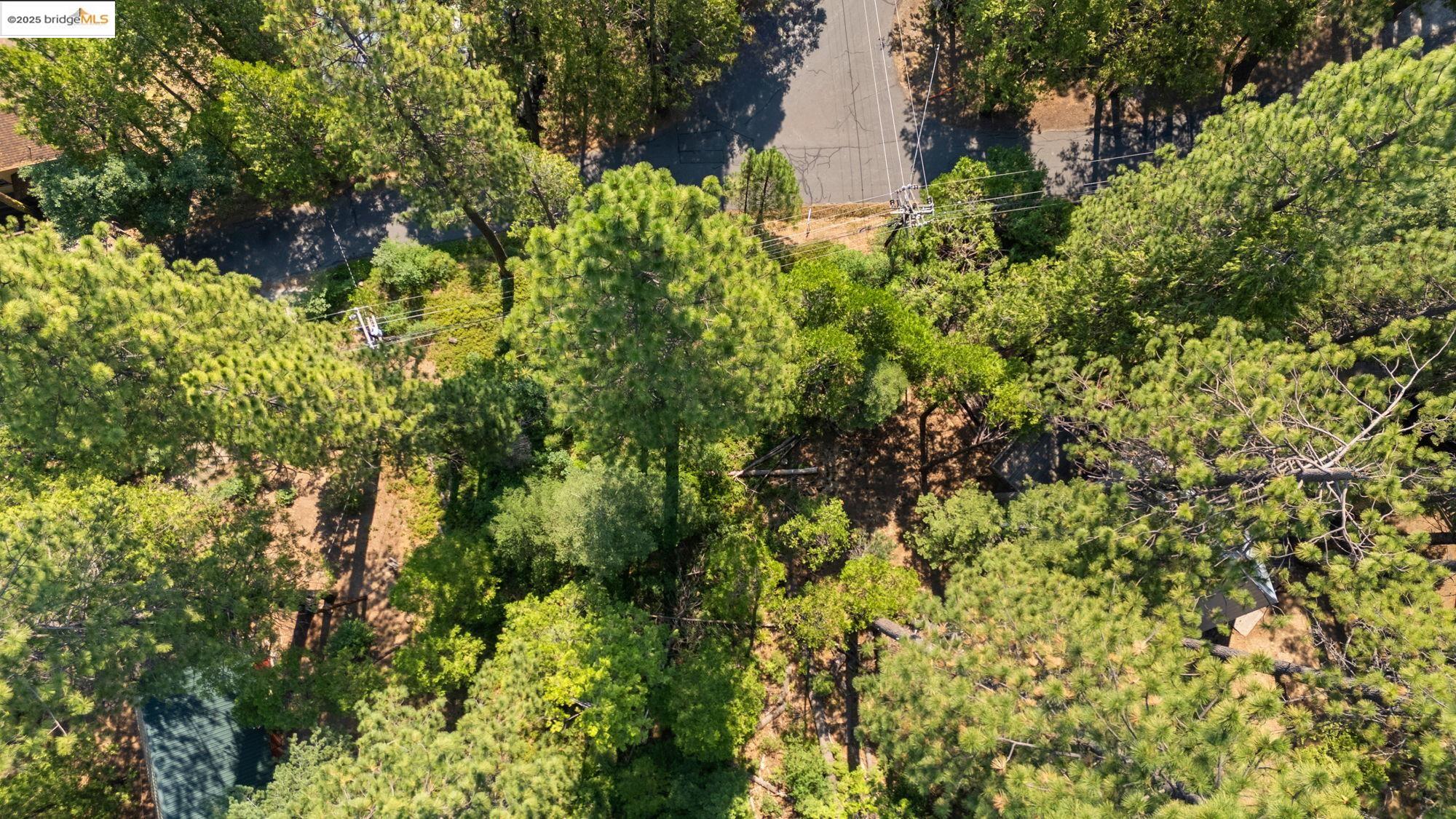 25352 Rebekah Road, Mi Wuk Village, California 95346, ,Land,For Sale,25352 Rebekah Road,41105730