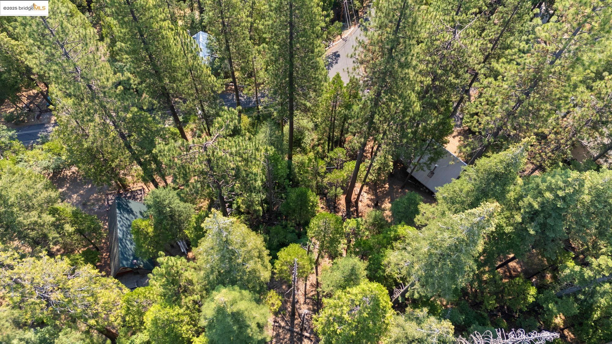 25352 Rebekah Road, Mi Wuk Village, California 95346, ,Land,For Sale,25352 Rebekah Road,41105730