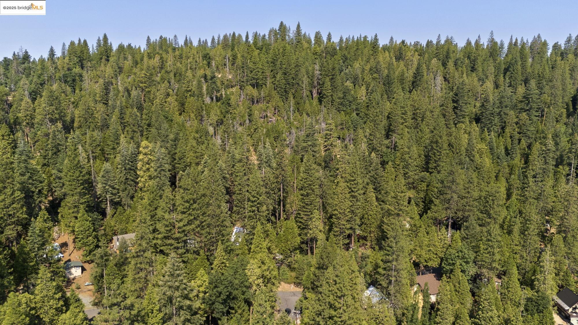 25352 Rebekah Road, Mi Wuk Village, California 95346, ,Land,For Sale,25352 Rebekah Road,41105730