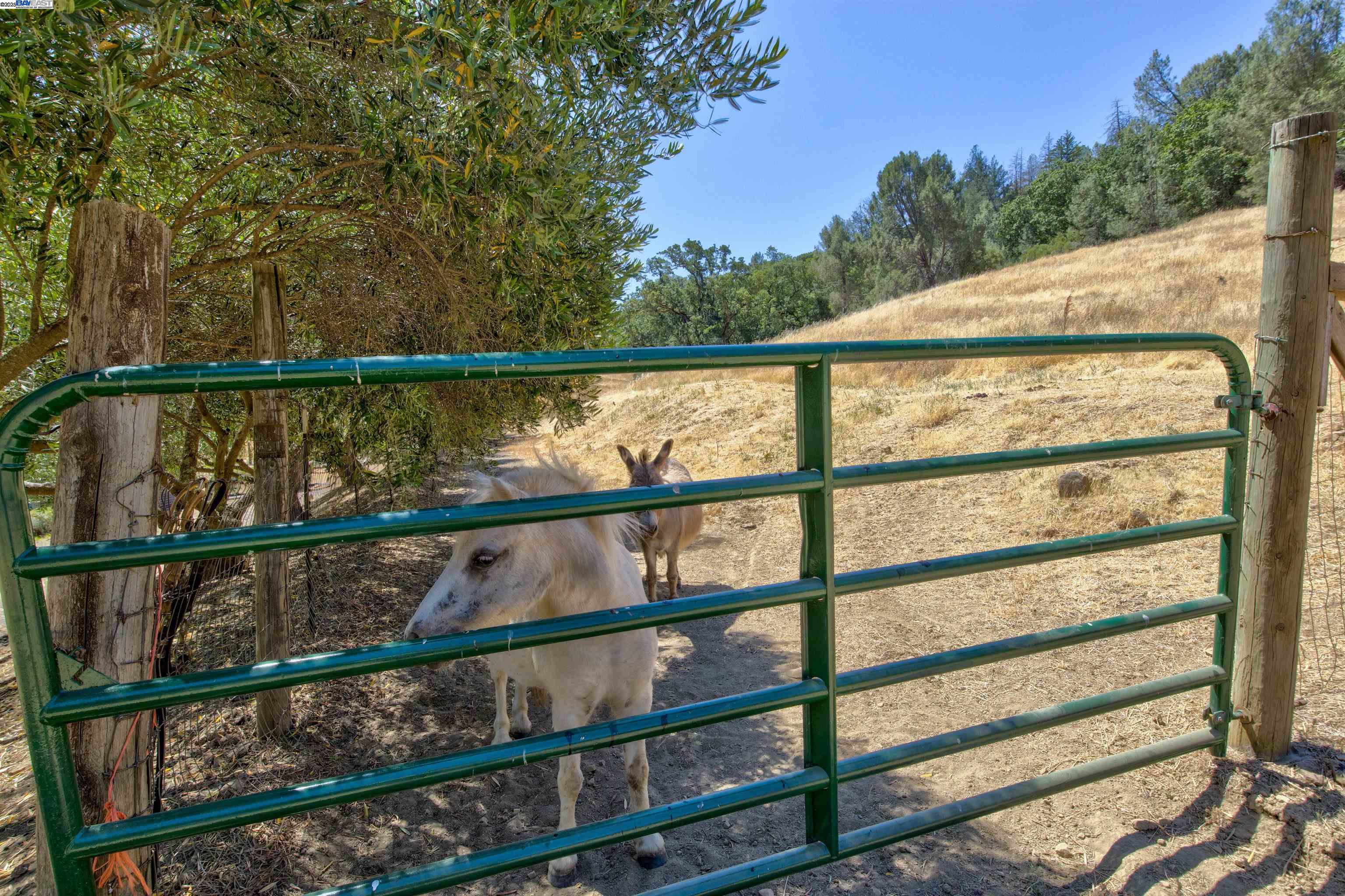 5281 Chiles Pope Valley Rd, Saint Helena, California 94574, 3 Bedrooms Bedrooms, ,2 BathroomsBathrooms,Residential,For Sale,5281 Chiles Pope Valley Rd,41105740