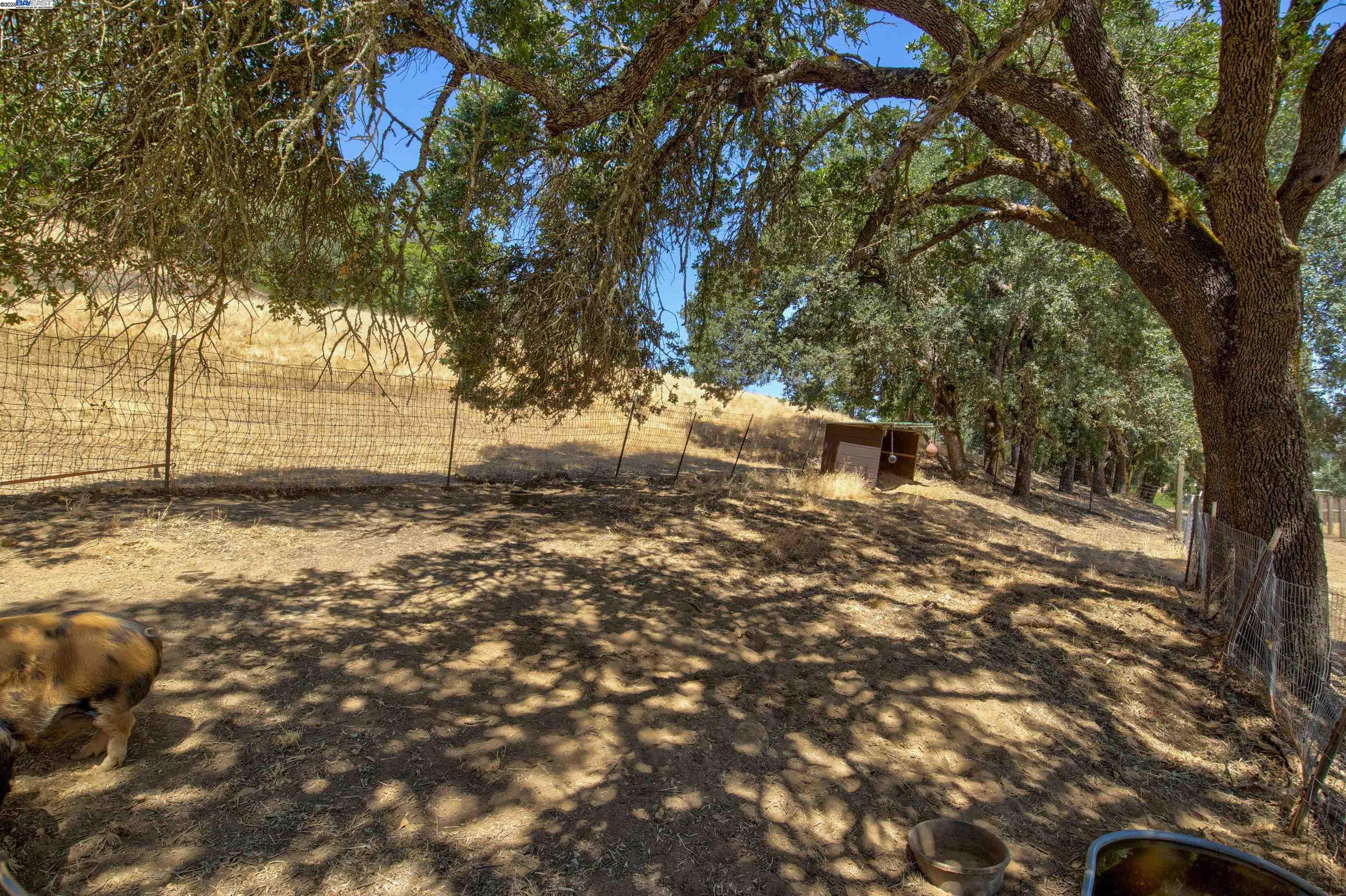 5281 Chiles Pope Valley Rd, Saint Helena, California 94574, 3 Bedrooms Bedrooms, ,2 BathroomsBathrooms,Residential,For Sale,5281 Chiles Pope Valley Rd,41105740