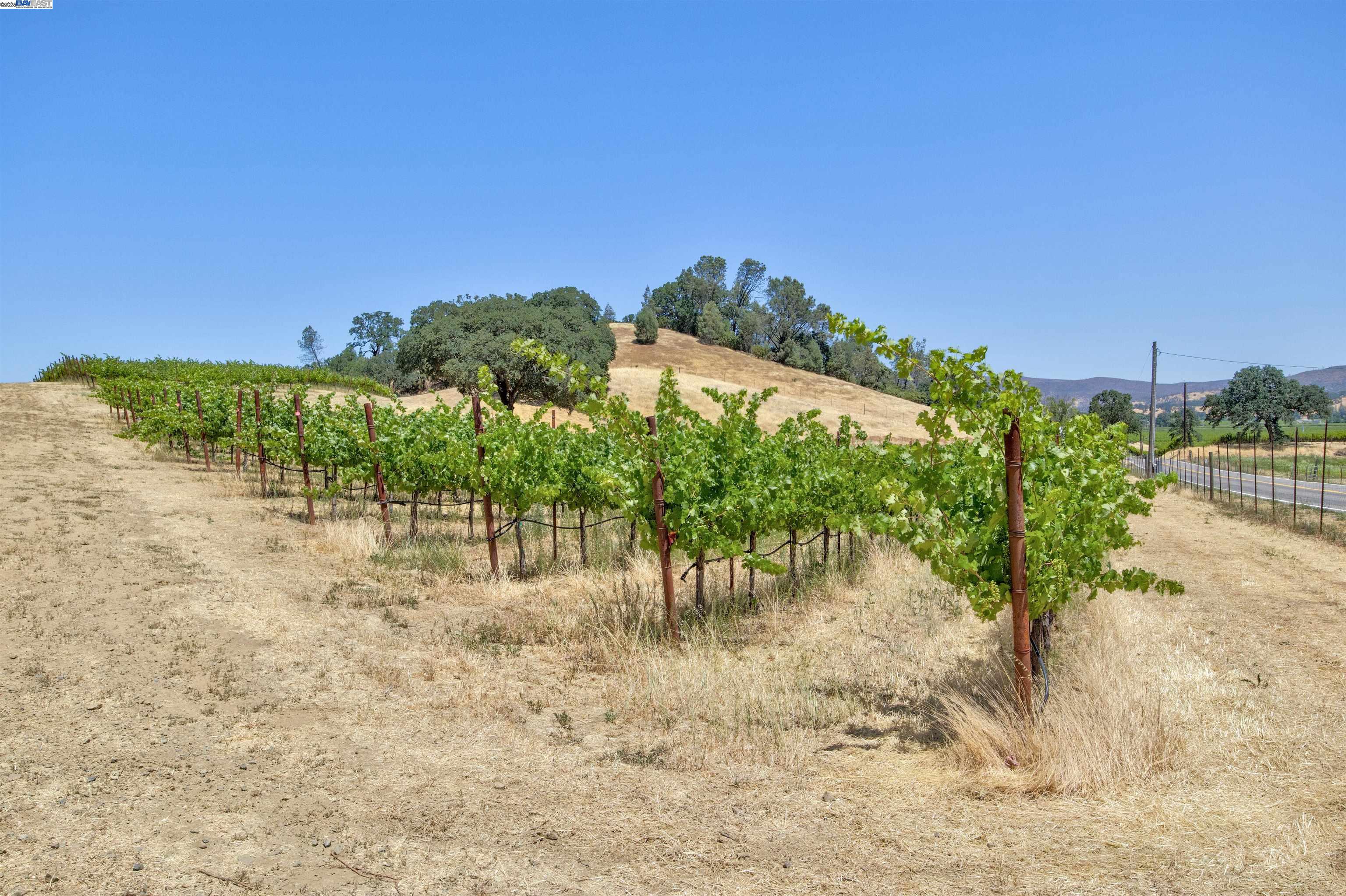 5281 Chiles Pope Valley Rd, Saint Helena, California 94574, 3 Bedrooms Bedrooms, ,2 BathroomsBathrooms,Residential,For Sale,5281 Chiles Pope Valley Rd,41105740