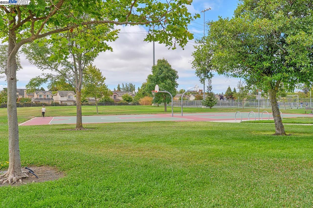 Photo #37: 41105743 Listing: Photo #37