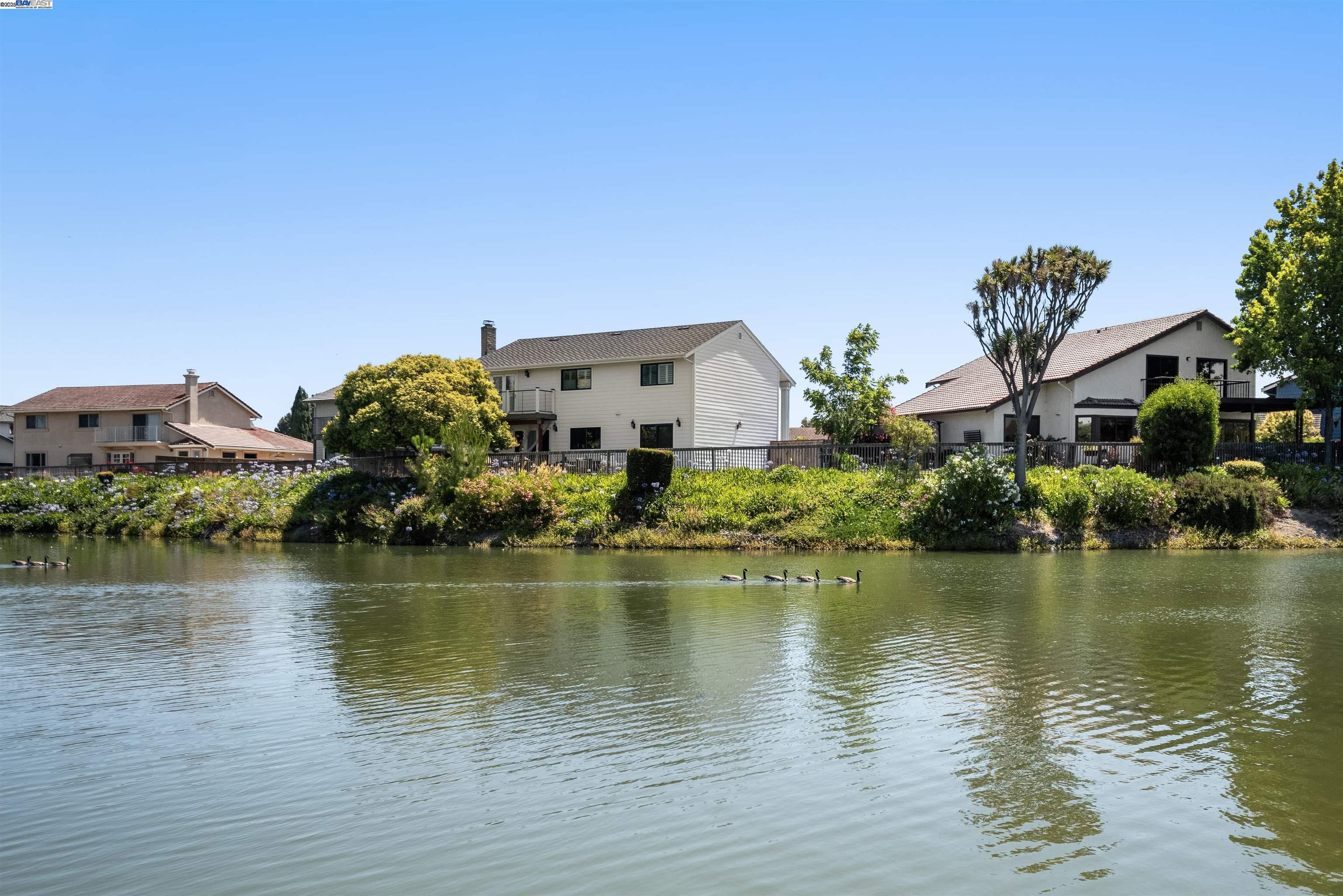 35344 Rutland Ct, Newark, California 94560, 5 Bedrooms Bedrooms, 8 Rooms Rooms,3 BathroomsBathrooms,Residential,For Sale,35344 Rutland Ct,41105755