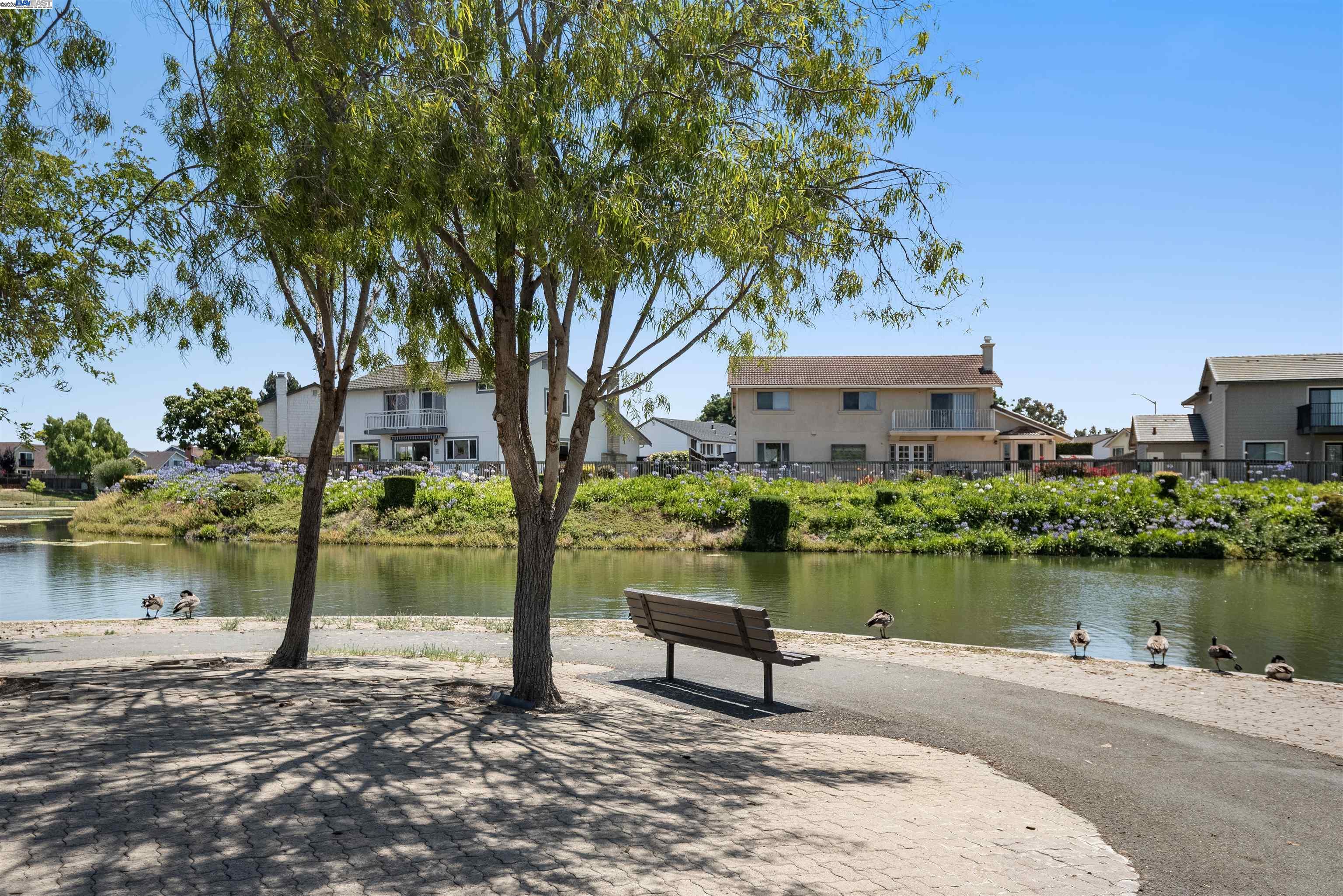 35344 Rutland Ct, Newark, California 94560, 5 Bedrooms Bedrooms, 8 Rooms Rooms,3 BathroomsBathrooms,Residential,For Sale,35344 Rutland Ct,41105755