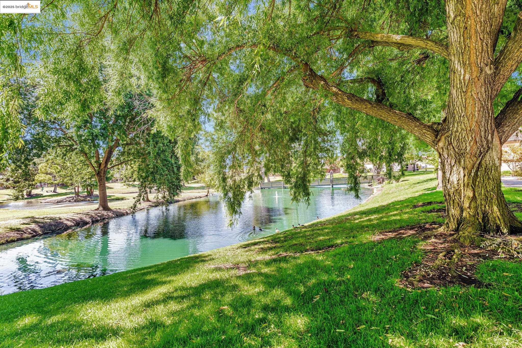 1866 Venetian Dr, Stockton, California 95207, 3 Bedrooms Bedrooms, ,2 BathroomsBathrooms,Residential,For Sale,1866 Venetian Dr,41105760