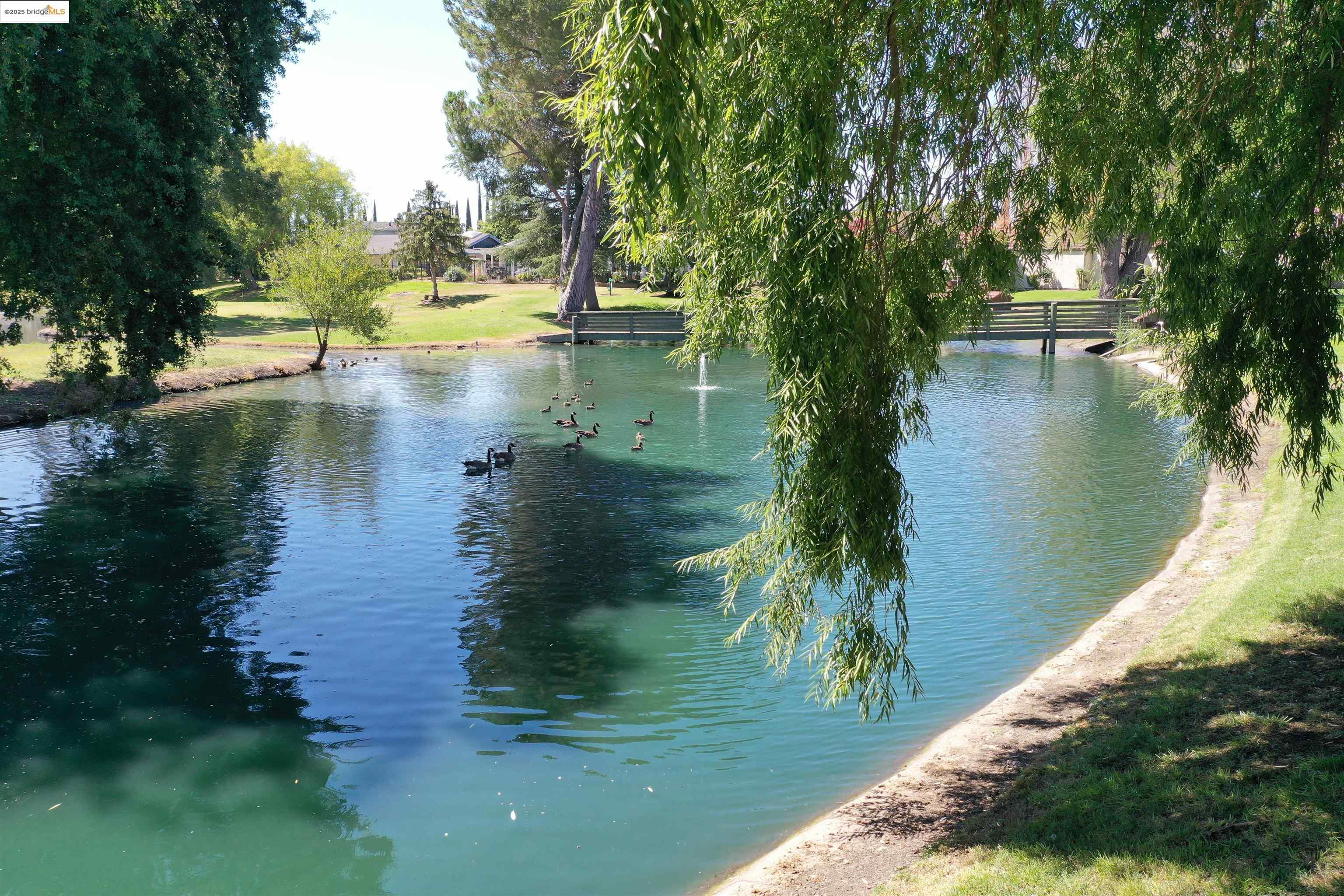 1866 Venetian Dr, Stockton, California 95207, 3 Bedrooms Bedrooms, ,2 BathroomsBathrooms,Residential,For Sale,1866 Venetian Dr,41105760