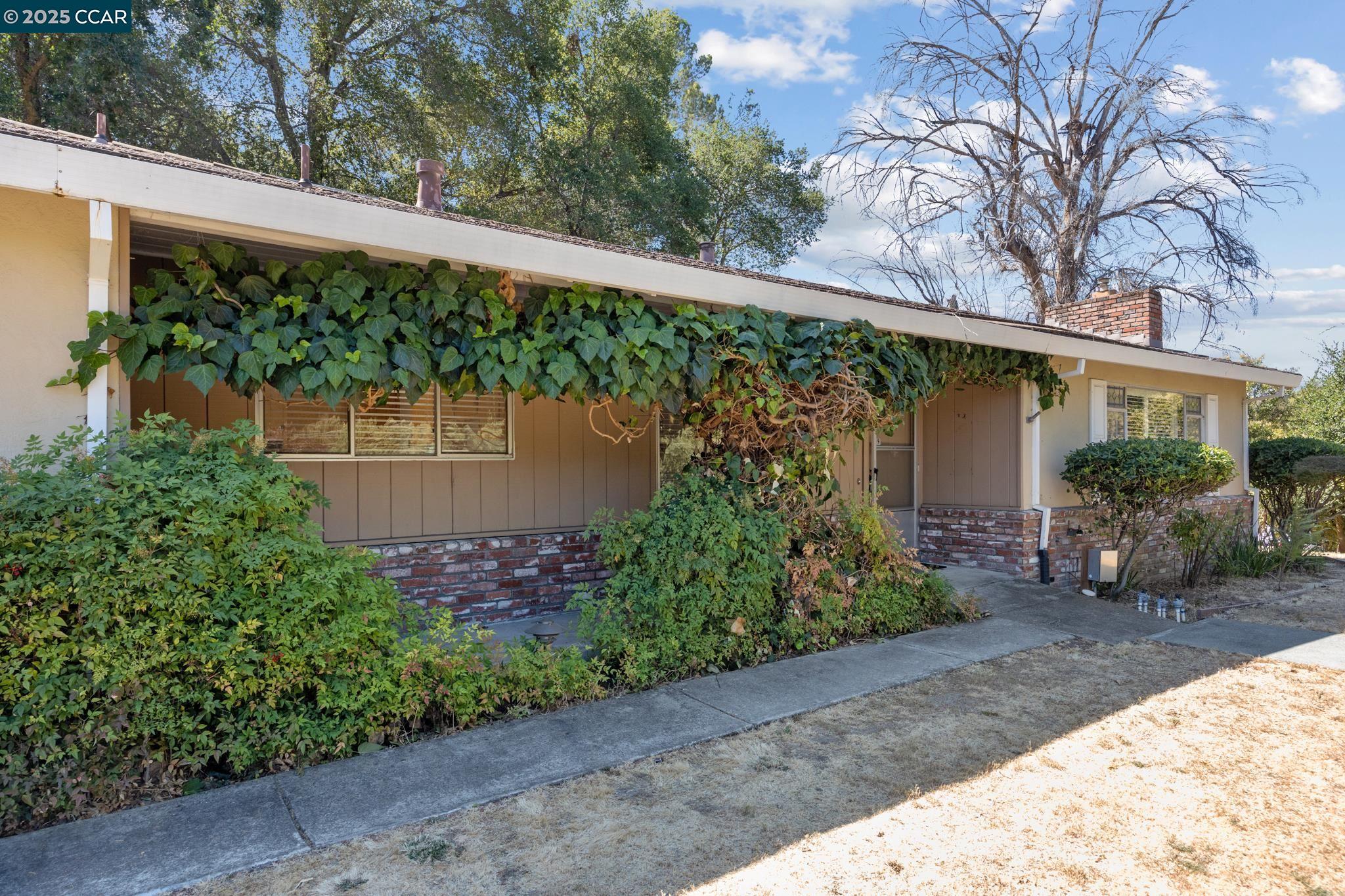 2101 Hillview Dr, Walnut Creek, California 94596, 3 Bedrooms Bedrooms, 8 Rooms Rooms,2 BathroomsBathrooms,Residential,For Sale,2101 Hillview Dr,41105762