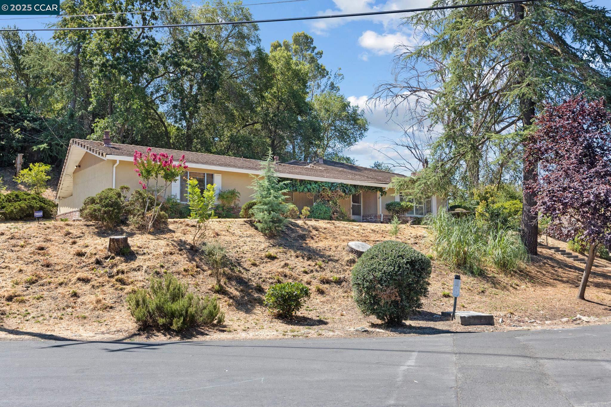 2101 Hillview Dr, Walnut Creek, California 94596, 3 Bedrooms Bedrooms, 8 Rooms Rooms,2 BathroomsBathrooms,Residential,For Sale,2101 Hillview Dr,41105762