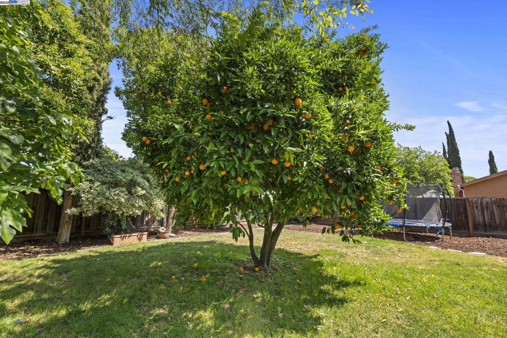Detail Gallery Image 32 of 36 For 771 Hagemann Dr, Livermore,  CA 94551 - 4 Beds | 2 Baths