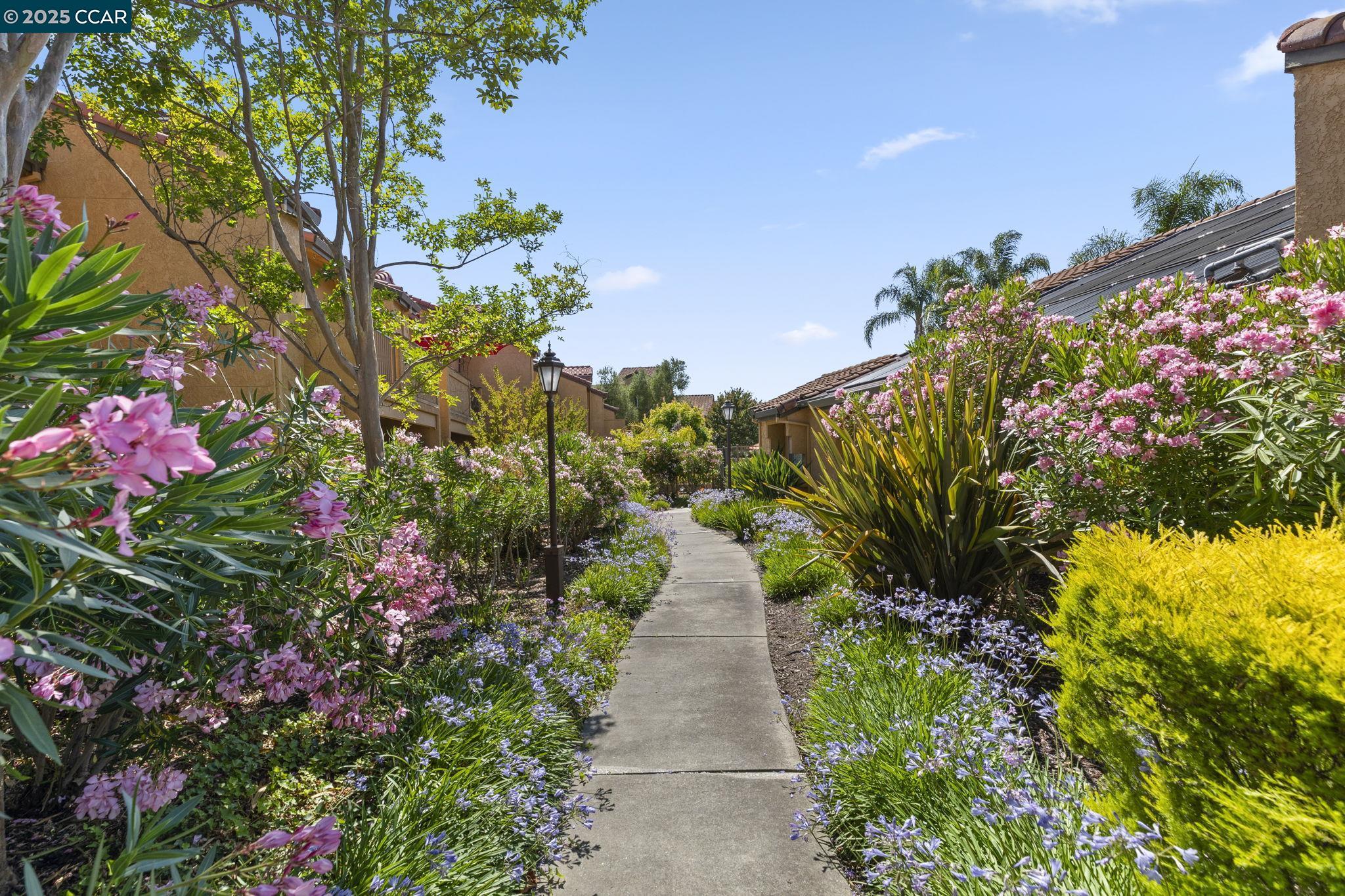 Detail Gallery Image 41 of 44 For 765 Watson Canyon Ct #237,  San Ramon,  CA 94582 - 2 Beds | 2 Baths